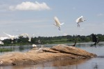 20120529uganda rafting 0008