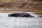 20120529uganda 0001 1