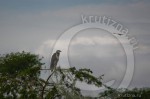 20120529uganda 0042