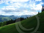 near salzburg20120604gal 11