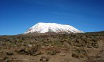 Восхождение на Килиманджаро и джип-сафари по национальным паркам